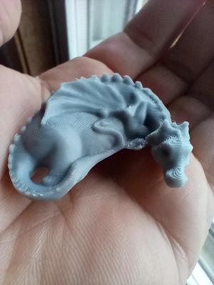 Sleeping Dragon