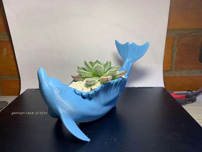 Dolphin planter