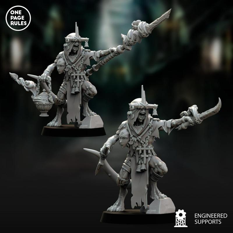 Scourge Champion - Shadow Stalkers