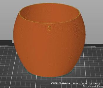 Flower Pot