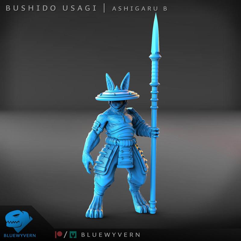 Bushido Usagi - Ashigaru B