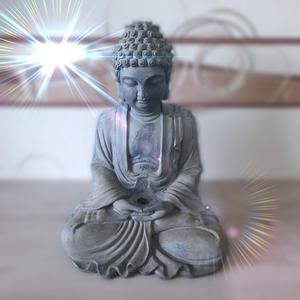 Buddha 🛕 and his lotus 💮