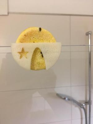 Lush shampoo bar holder
