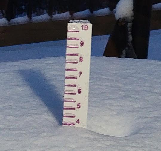 Snow Ruler Gauge