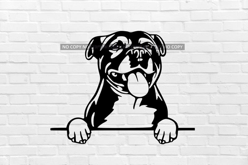 Staffordshire Bull Terrier dog wall decoration