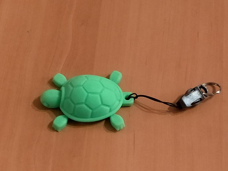 tortue porte-clefs