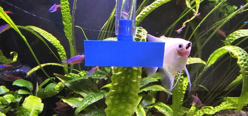 SKROBAK czyścik szyb do akwarium