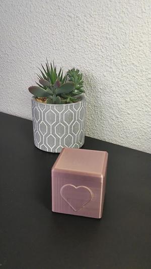 Surprise Proposal: Middle Finger Ring Box