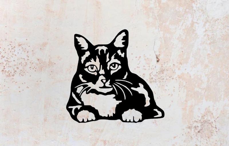 cat wall decoration wall mural cat deco wall house pet realistic pet