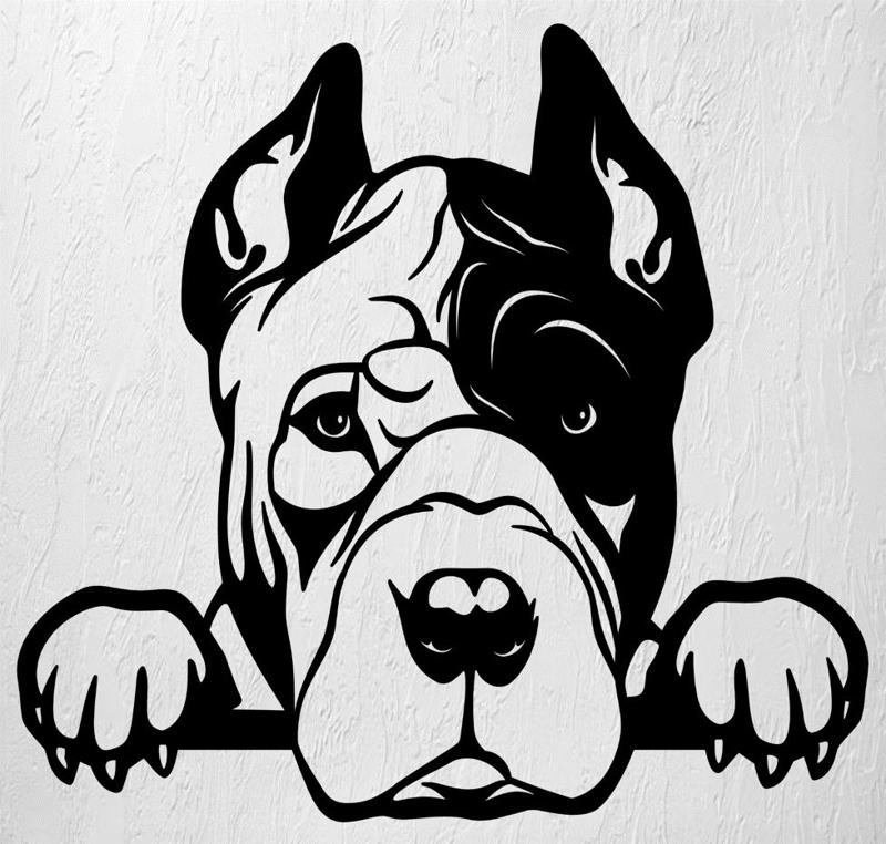 PITBULL AMERICAN DOG WALL ART 2D DECORATION