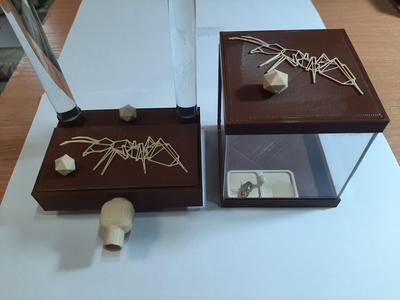 Formikarium gniazdo dla mrówek