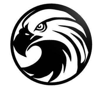 Eagle wall decor