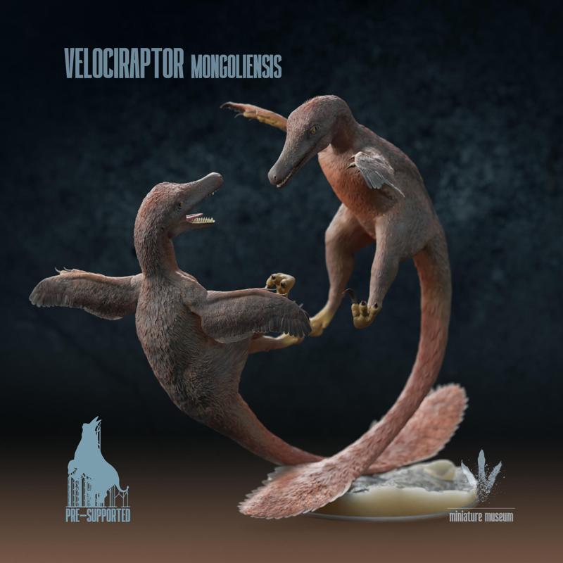 Velociraptor mongoliensis : Fighting