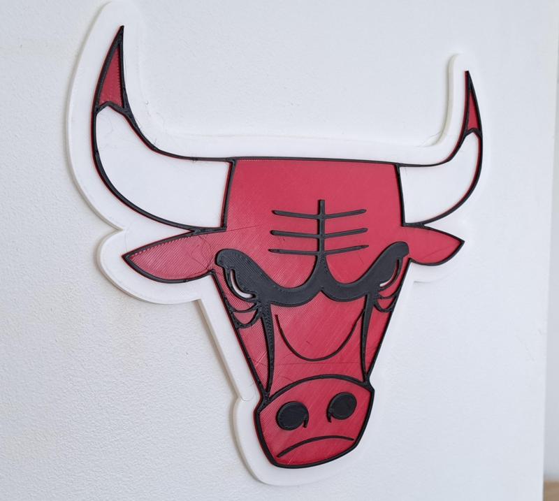 Bulls Logo