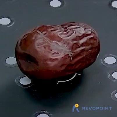 JUJUBE（GENERATED BY REVOPOINT POP）