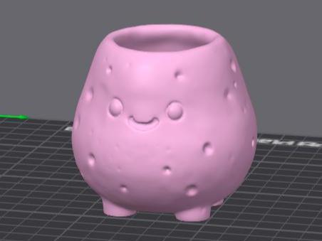 POTato plant pot