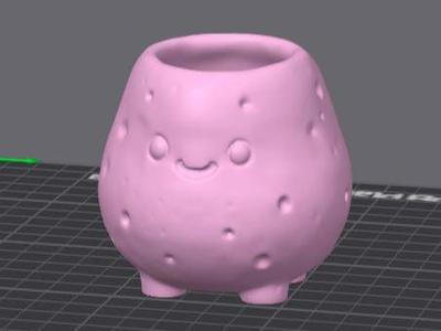 POTato plant pot