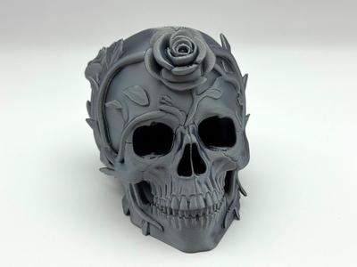 Rose Branch Skull