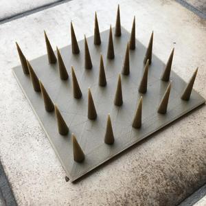 Dornenbrett / Thorn board