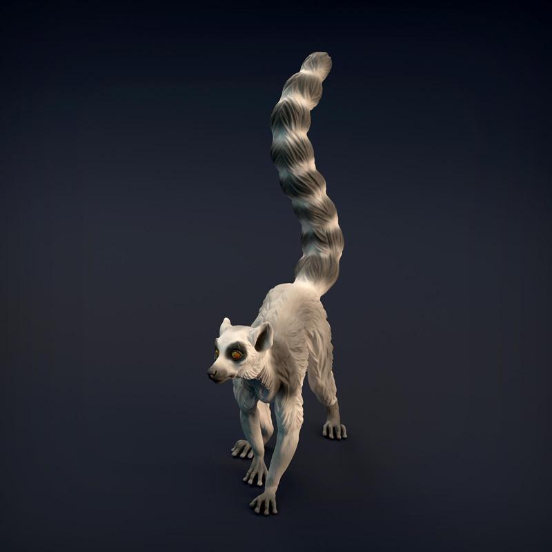 Ring-Tailed Lemur
