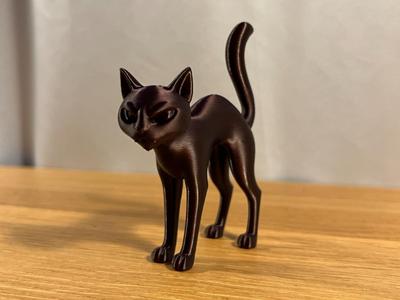 Spooky Cat