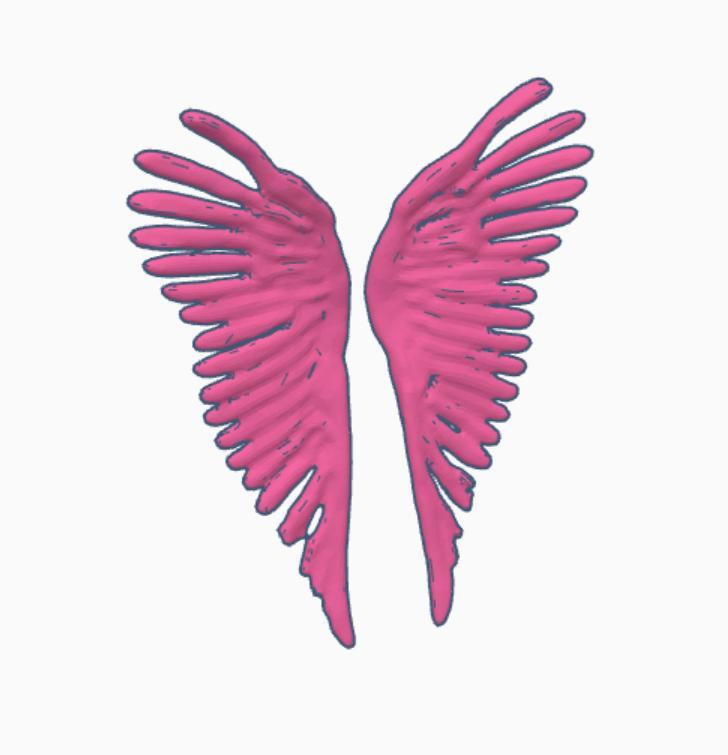 Winged frame wall decor