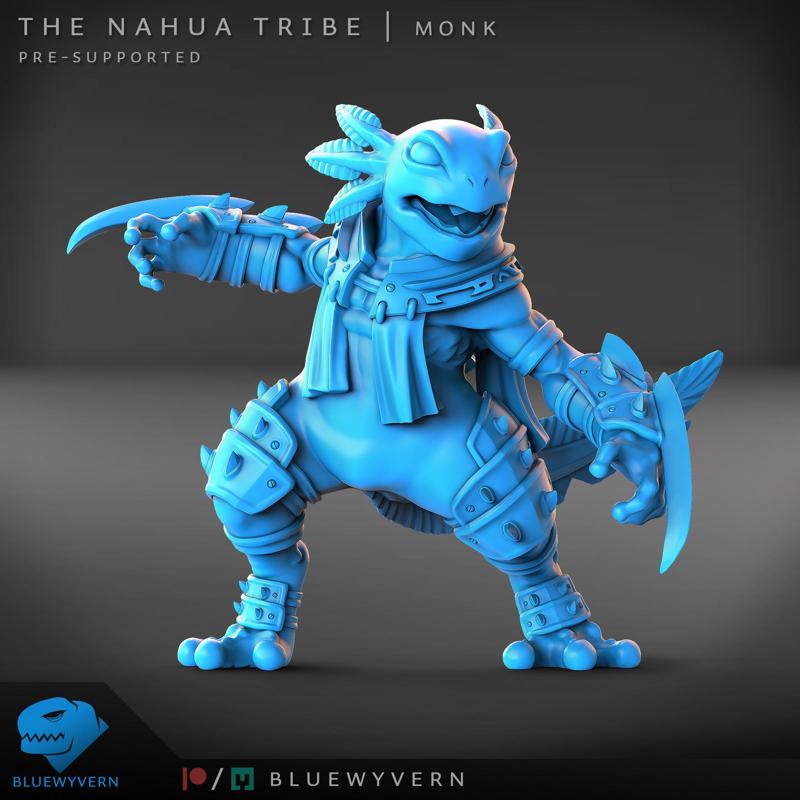 The Nahua Tribe - Monk