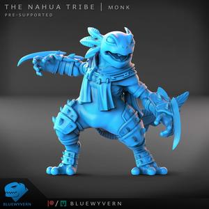 The Nahua Tribe - Monk