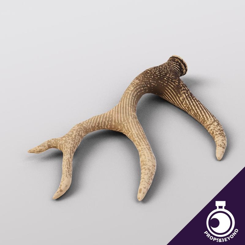 Stag Horn - Monster Trophy