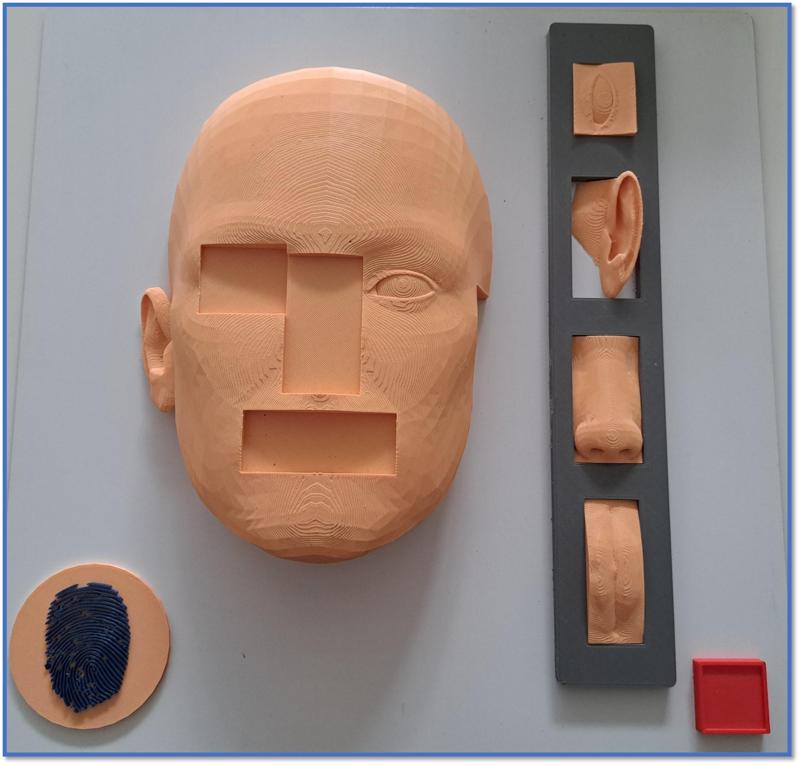 Körper Platte 7 - Druck- und Lehrdateien