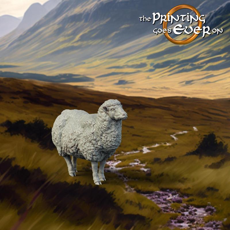 Sheep - Presupported