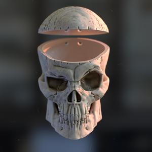 Storage Skull