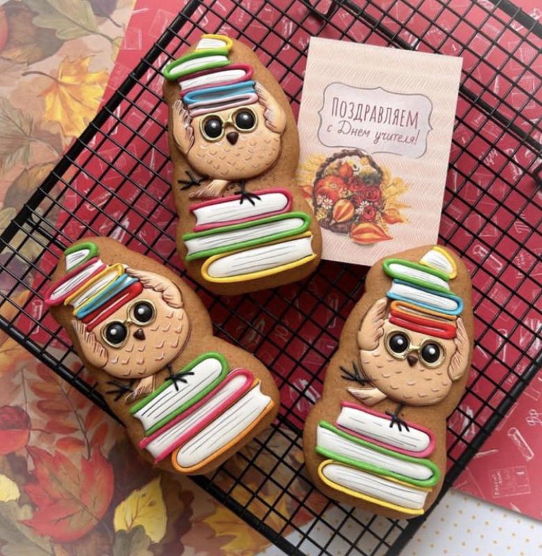 🦉📚 Wise Owl Teacher Cookie Cutter + Stamp 🍎