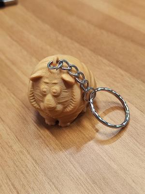 Round tiger key ring