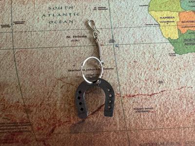 Horseshoe key ring