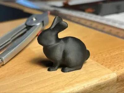 Bunny