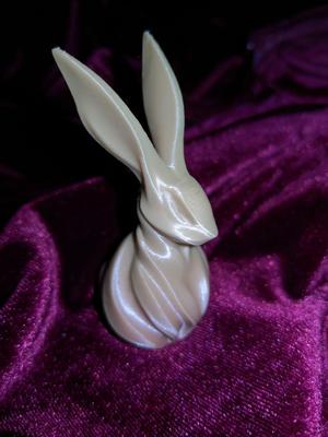 Rabbit Bunny 1