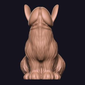 PENIS DICK  rabbit