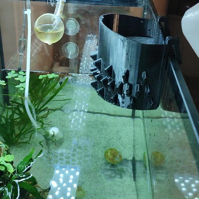 Aquarium water pouring