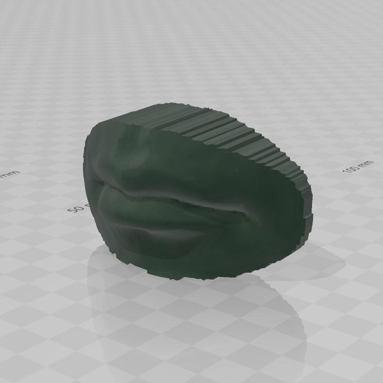 Human's mouth model