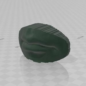 Human's mouth model