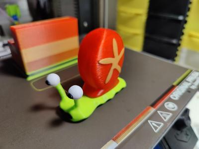 Caracol multicolor remix