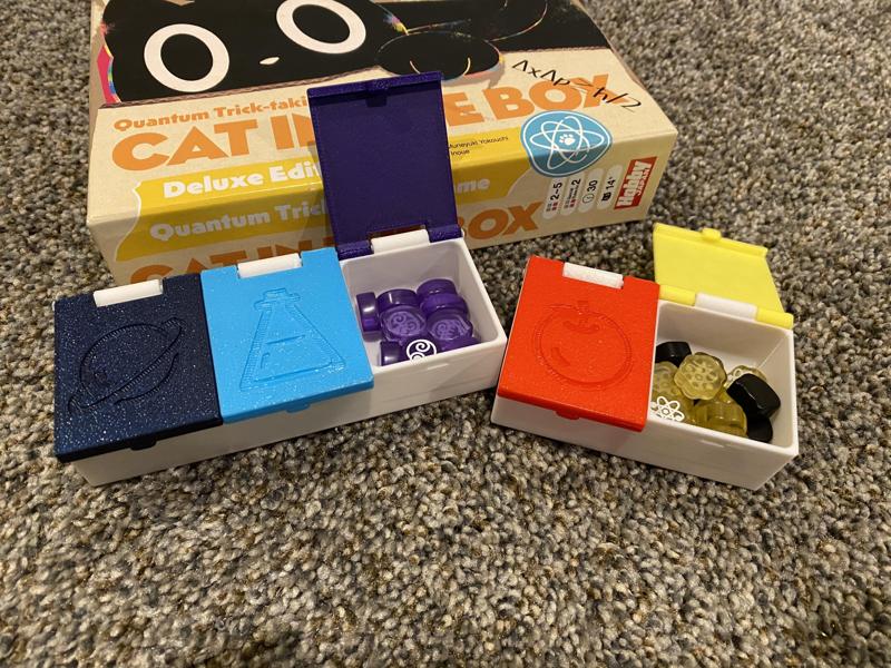 Cat in the Box Organizer