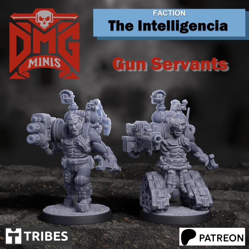 The Intelligencia Gun Servants
