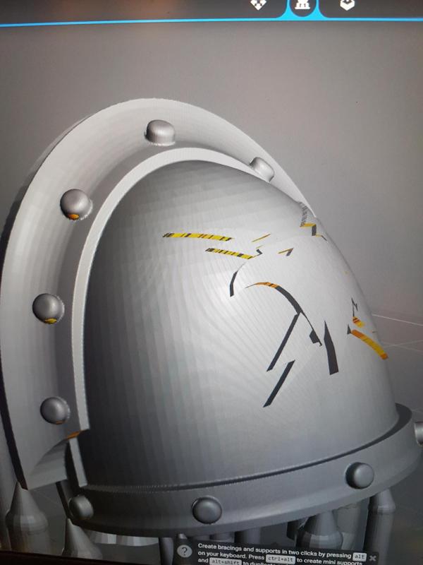 Raptor and lightning 6th legion shoulder pads