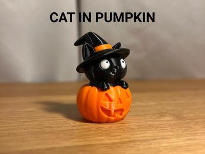 Cat in Pumpkin