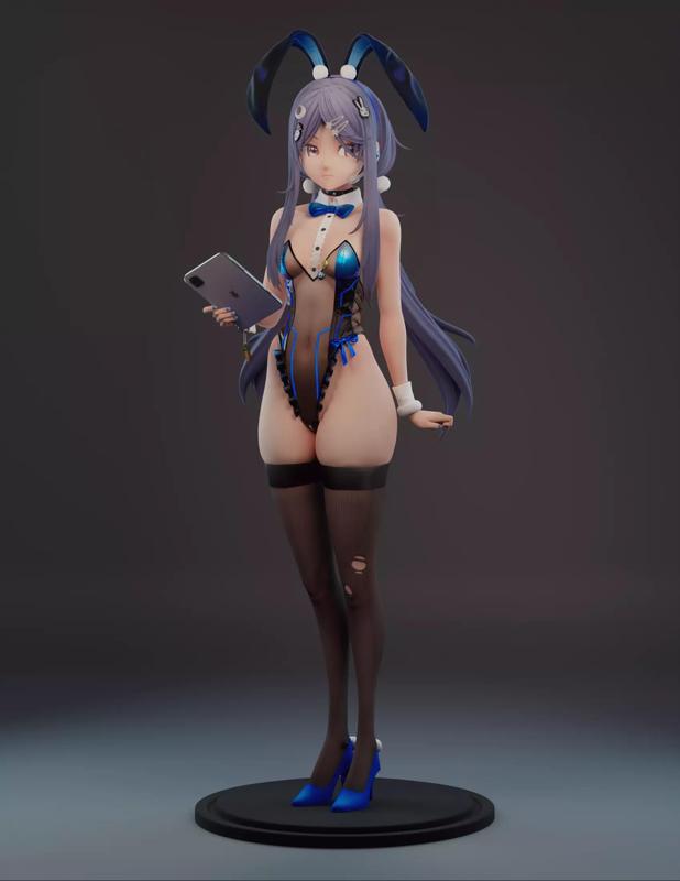 Exia bunny suit
