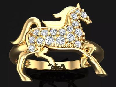 Horse Rings