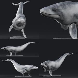 Basilosaurus prehistoric whale - 3d printable files