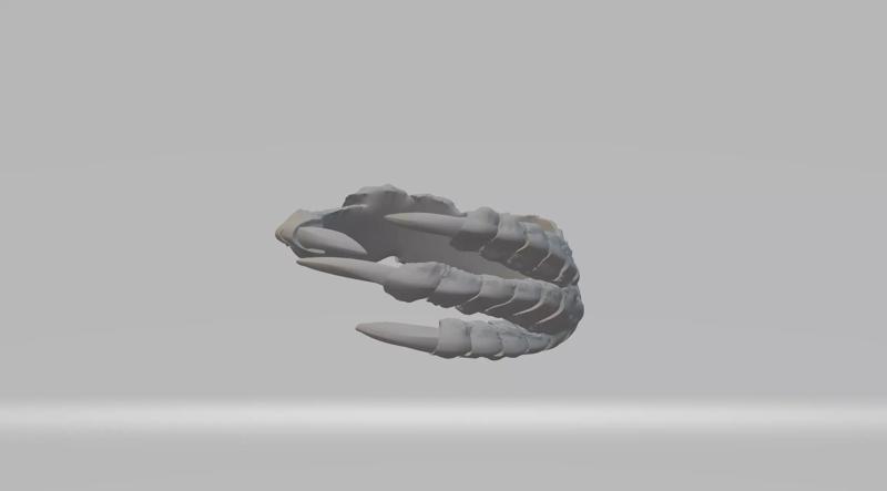 Dragon Claw Ring 3D Model